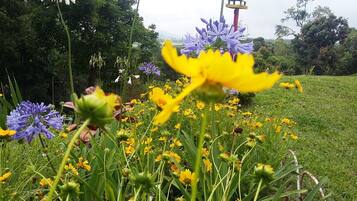 Land view from property