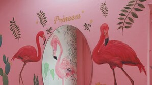 A pink wall with a mirror, two flamingos, and the word "Princess" above the mirror. - 1Sabai Hostel (Bangkok)