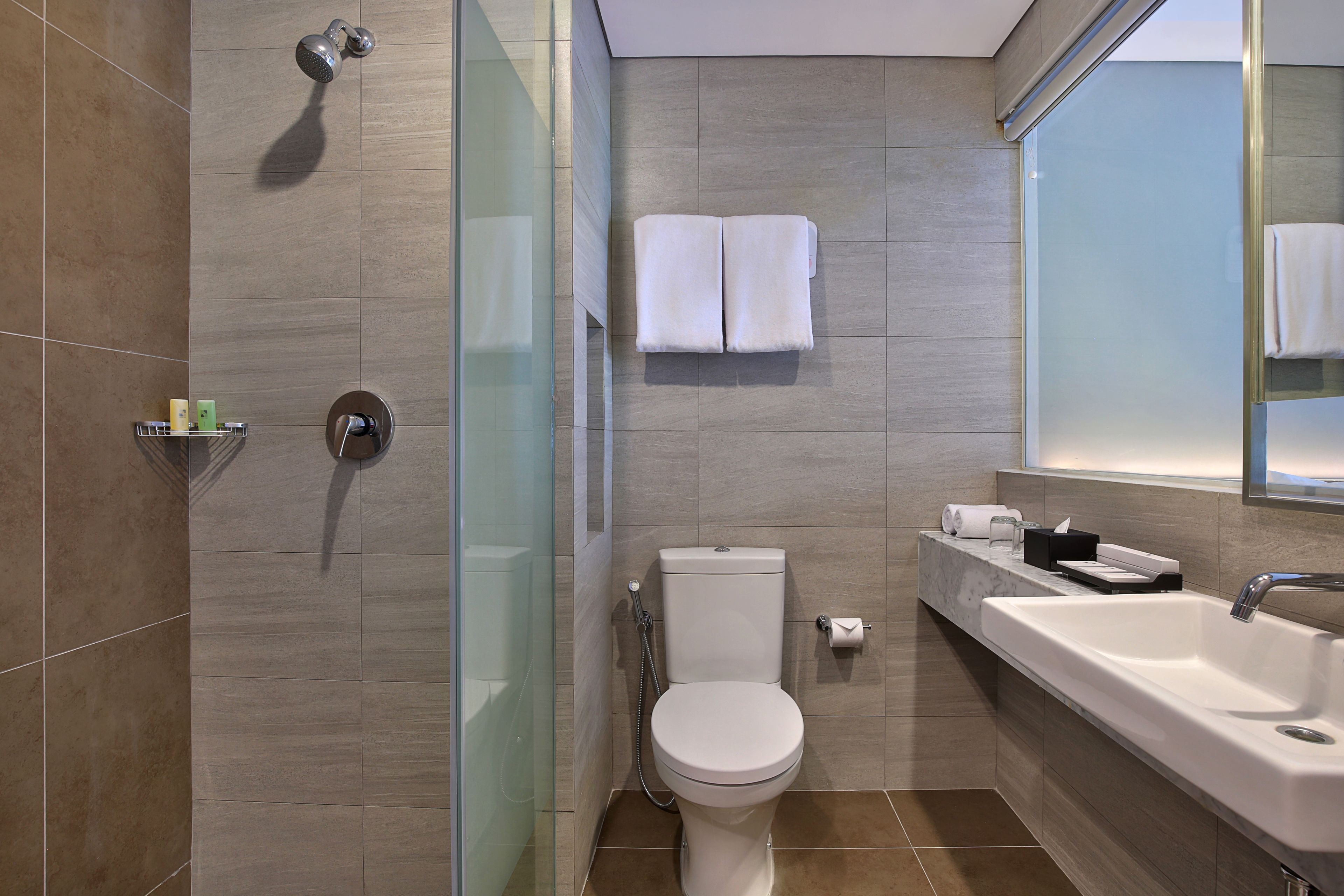 Et moderne badeværelse med en glasbrusekabine, et hvidt toilet og en stor vask med et spejl over.