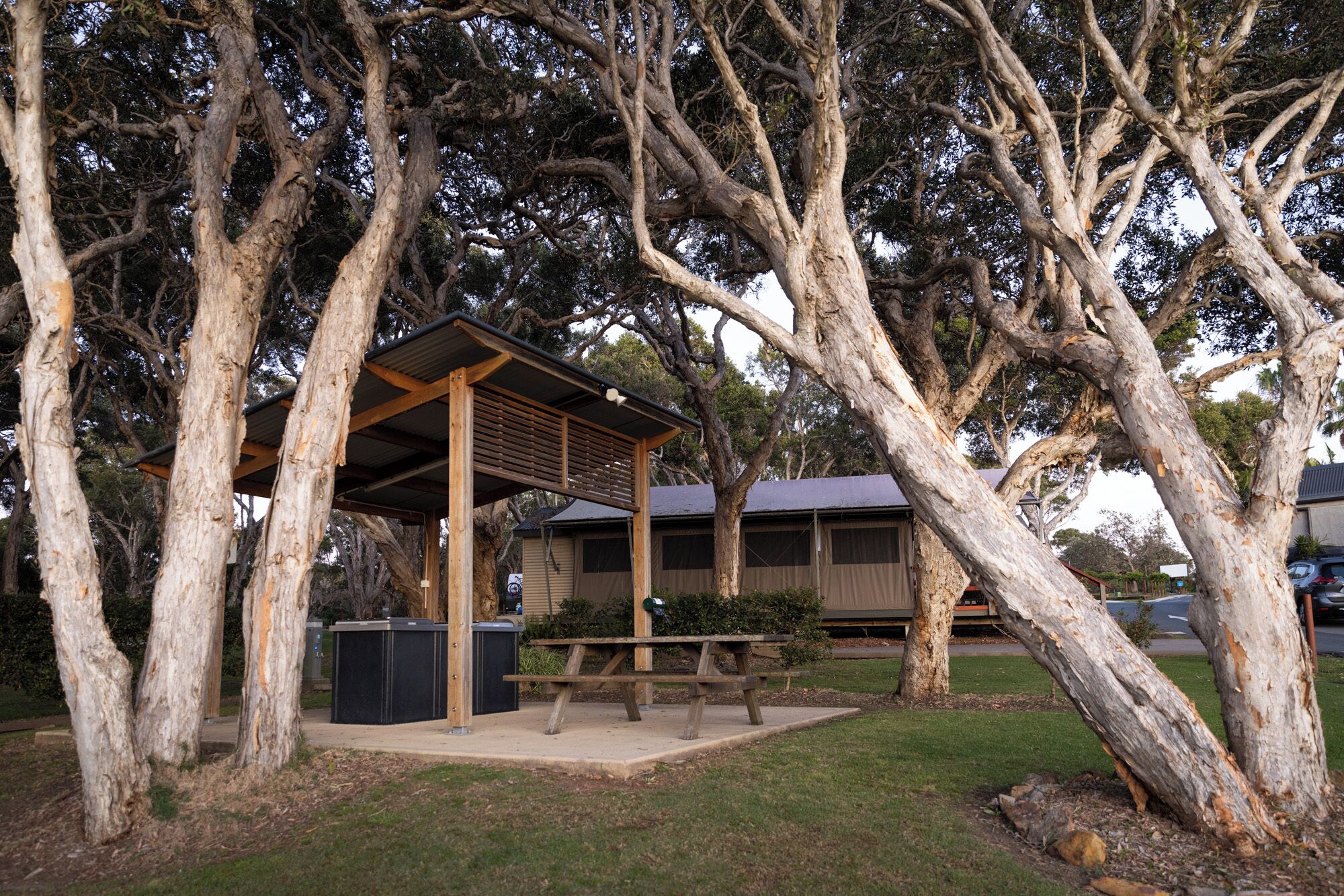 A covered picnic area with a wooden bench and picnic table, surrounded by large trees.