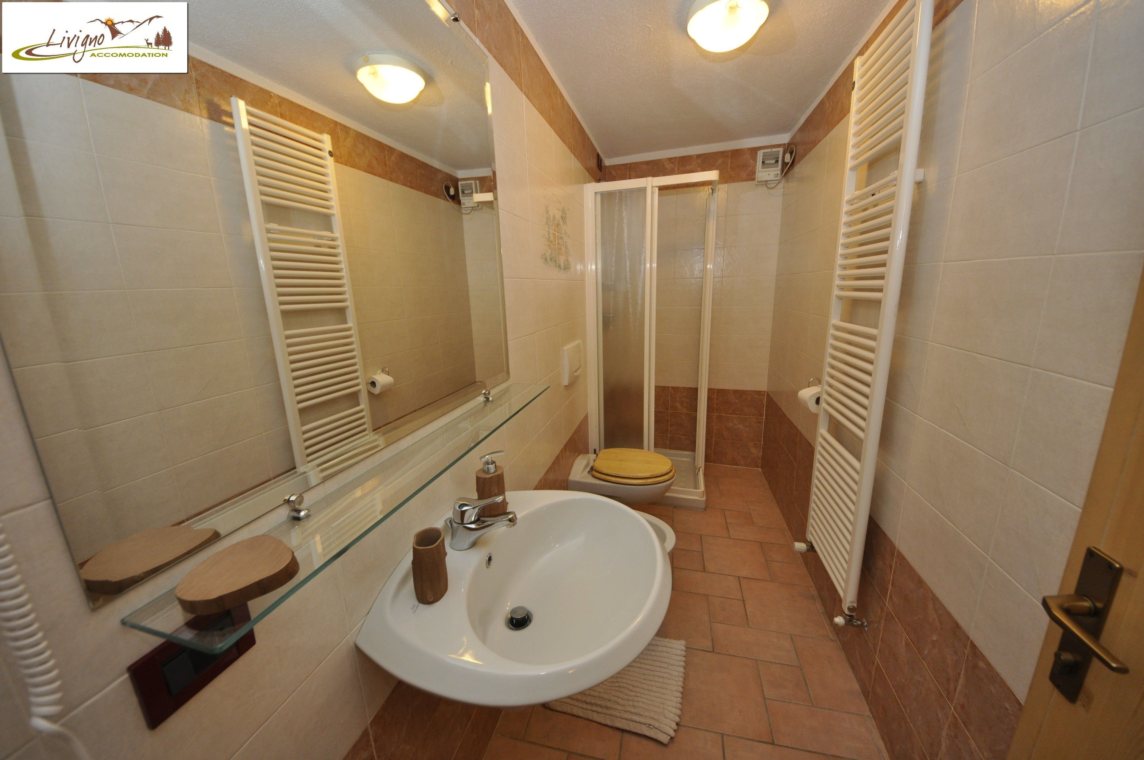 A bathroom with a glass sink, a toilet, a shower, and a towel rack.