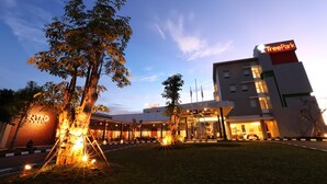 Een hotel ingang met een grote boom ervoor, een bord waarop 