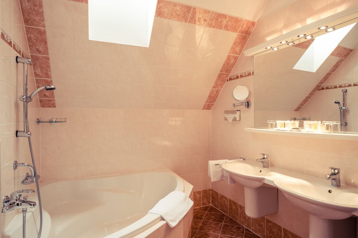 combined shower/bathtub, free toiletries, hair dryer, towels