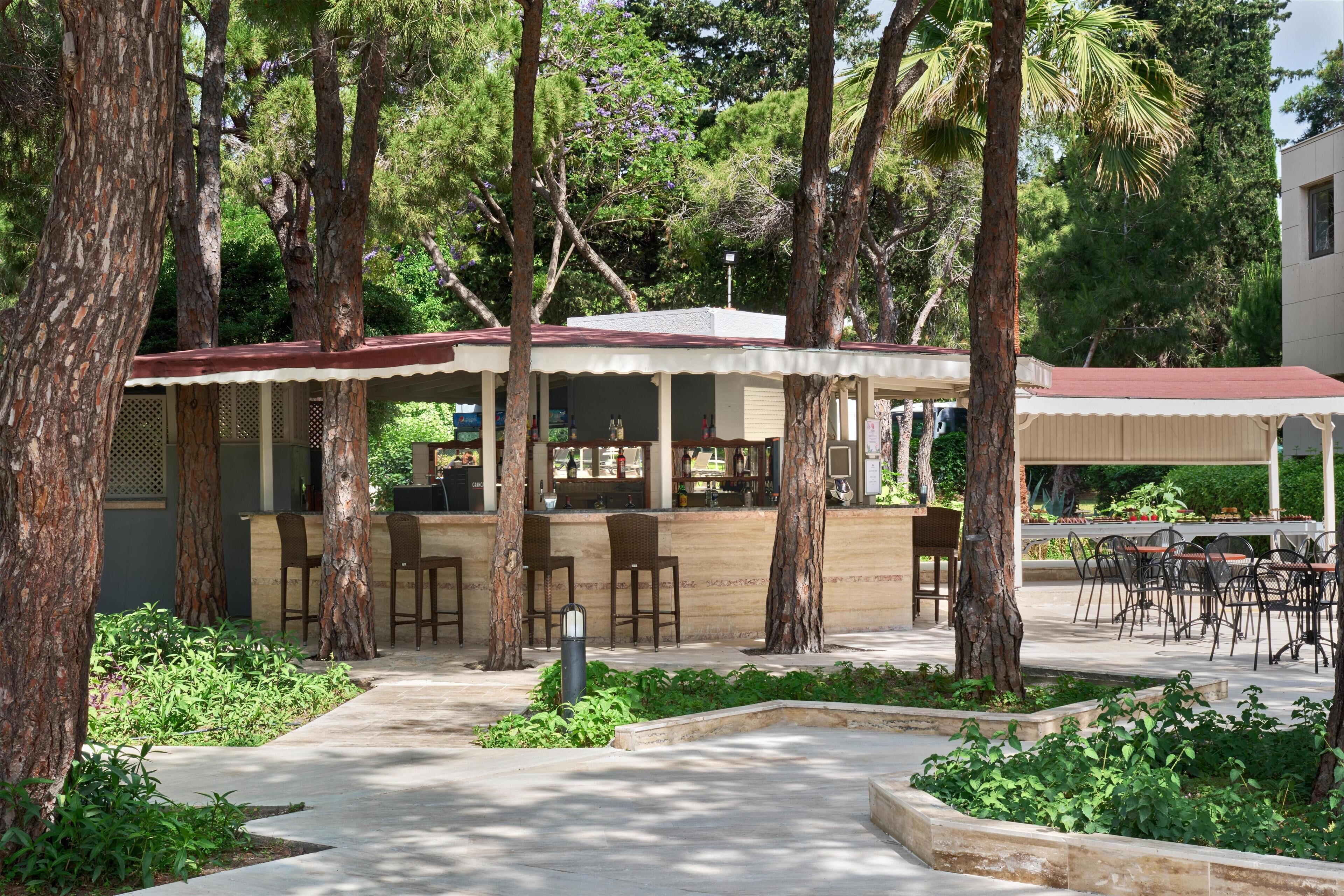 An outdoor bar area with seating and a counter, surrounded by trees and greenery.