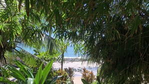 Un sendero que lleva a una playa, con abundante vegetación a ambos lados.