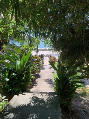 Beach bar