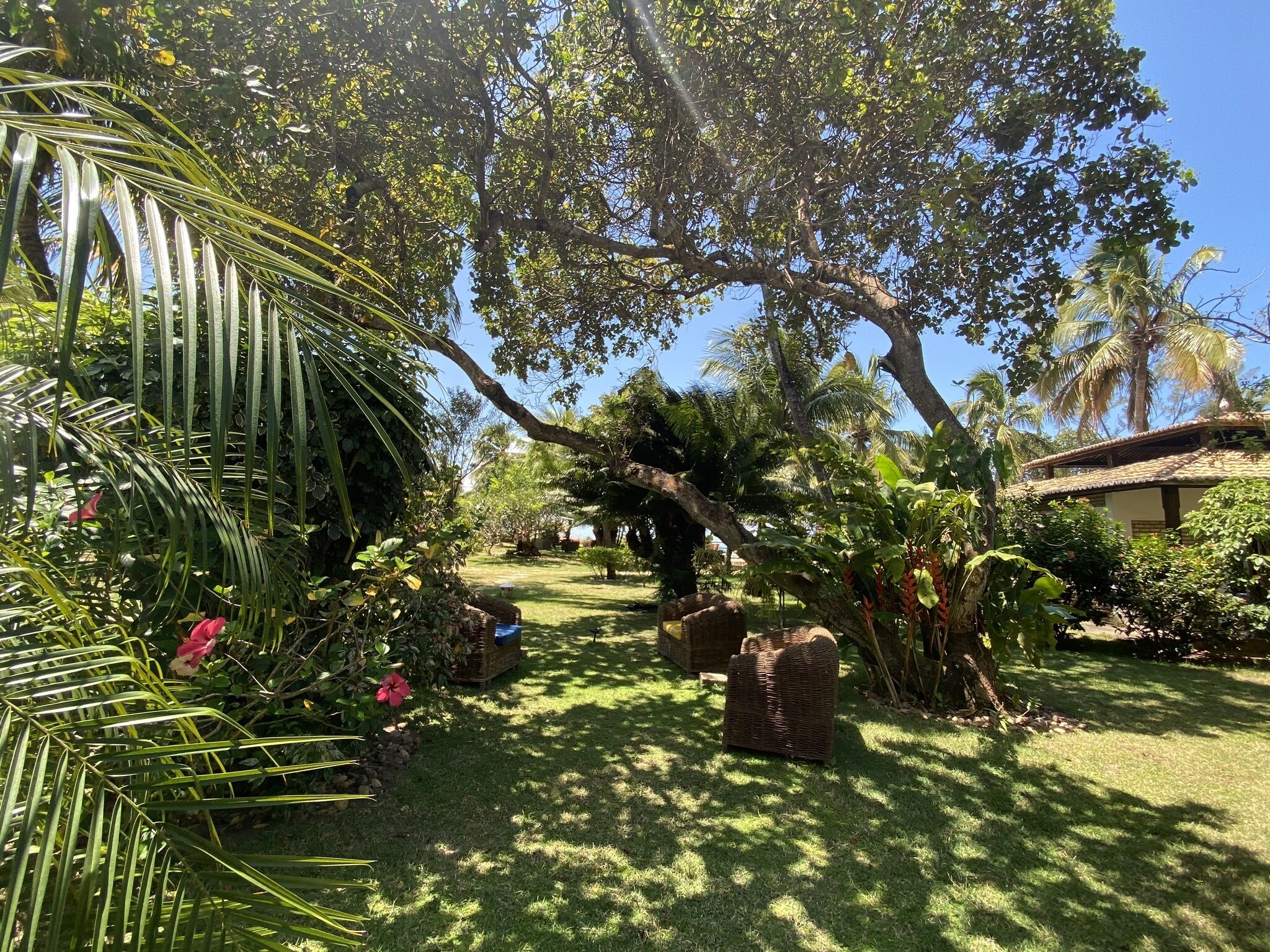 Pemandangan taman