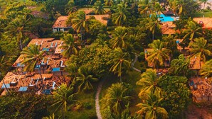 Vista aérea de un complejo turístico costero con varias edificaciones tipo bungalow, una piscina y palmeras.