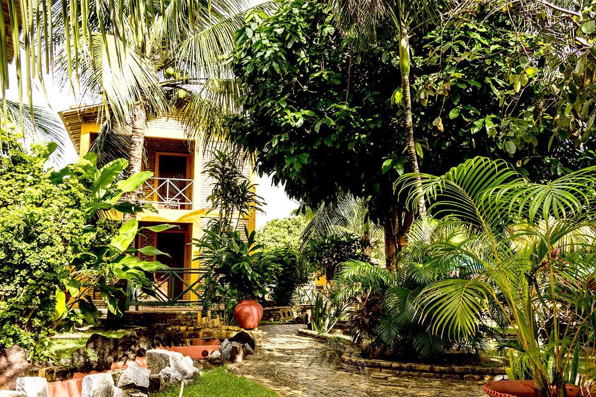 A tropical garden with a pathway leading to a building with a yellow facade and a red door.