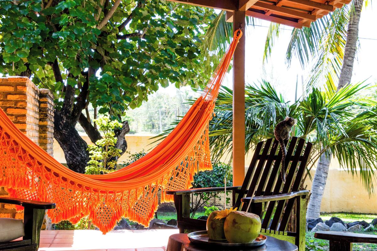 A hammock under a tree, a wooden chair, and a table with coconuts and a bowl.