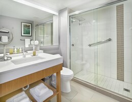 Room, 1 King Bed | Bathroom shower