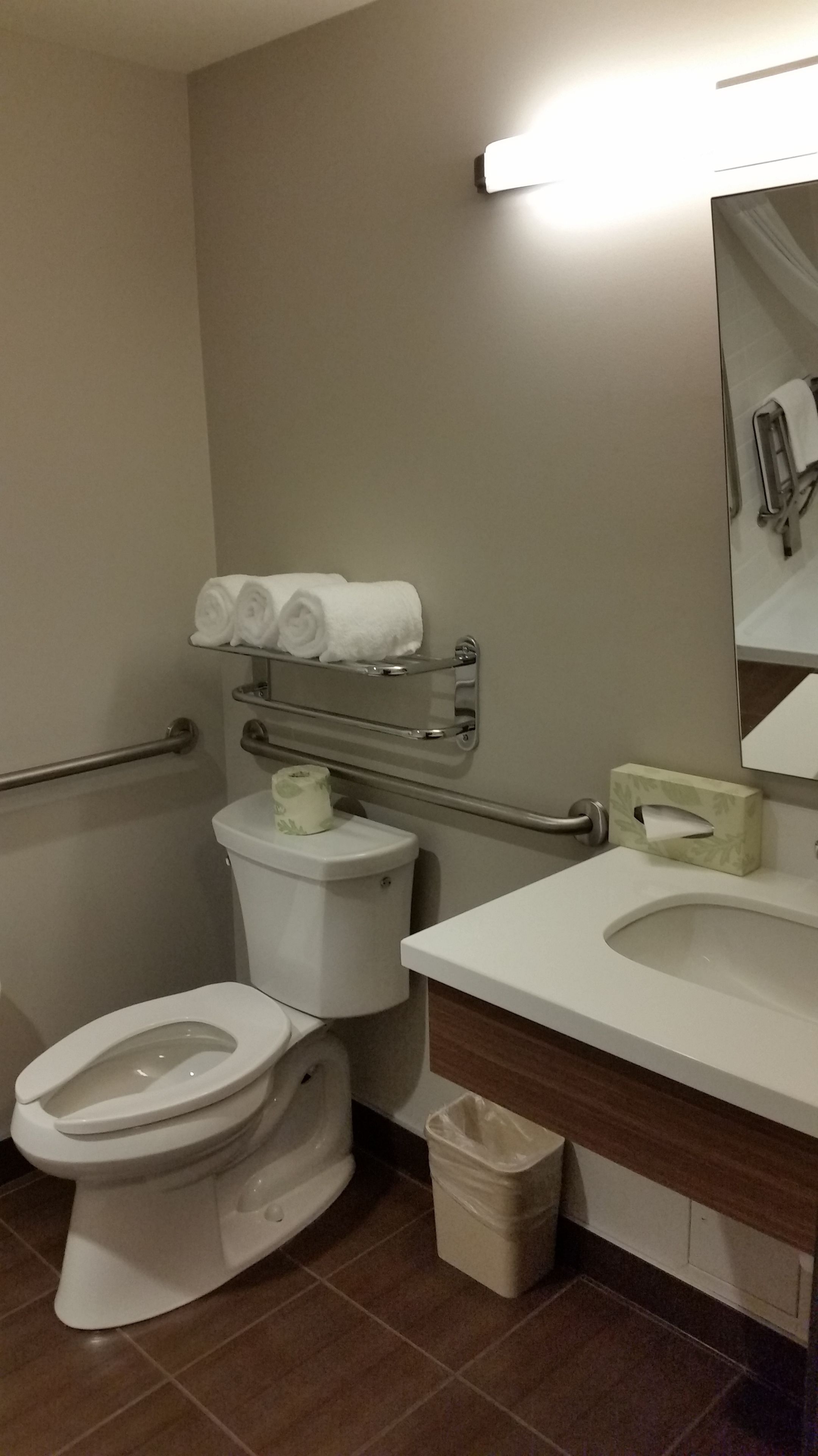A bathroom with a toilet, a sink, a mirror, and a towel rack with towels.