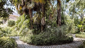 Jardín