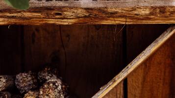 A wooden structure with the inscription "VILLA MIRASOL" and a shelf with what appears to be dried mushrooms.