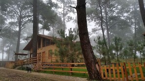 Property grounds - Cabanas Los Abuelos (Mazamitla)