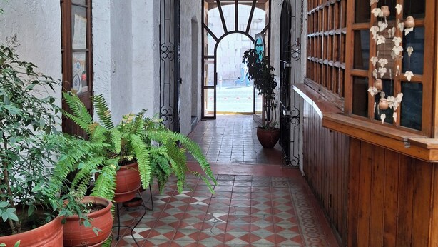 Un pasillo con helechos en macetas, suelo de baldosas, paredes de madera y vistas a través de un arco.
