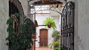Un callejón estrecho con suelo de baldosas, una puerta de madera y rejas a ambos lados.