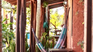 A hammock under a wooden pergola in a lush garden area. - Pousada Corais do Sul (Tibau do Sul)