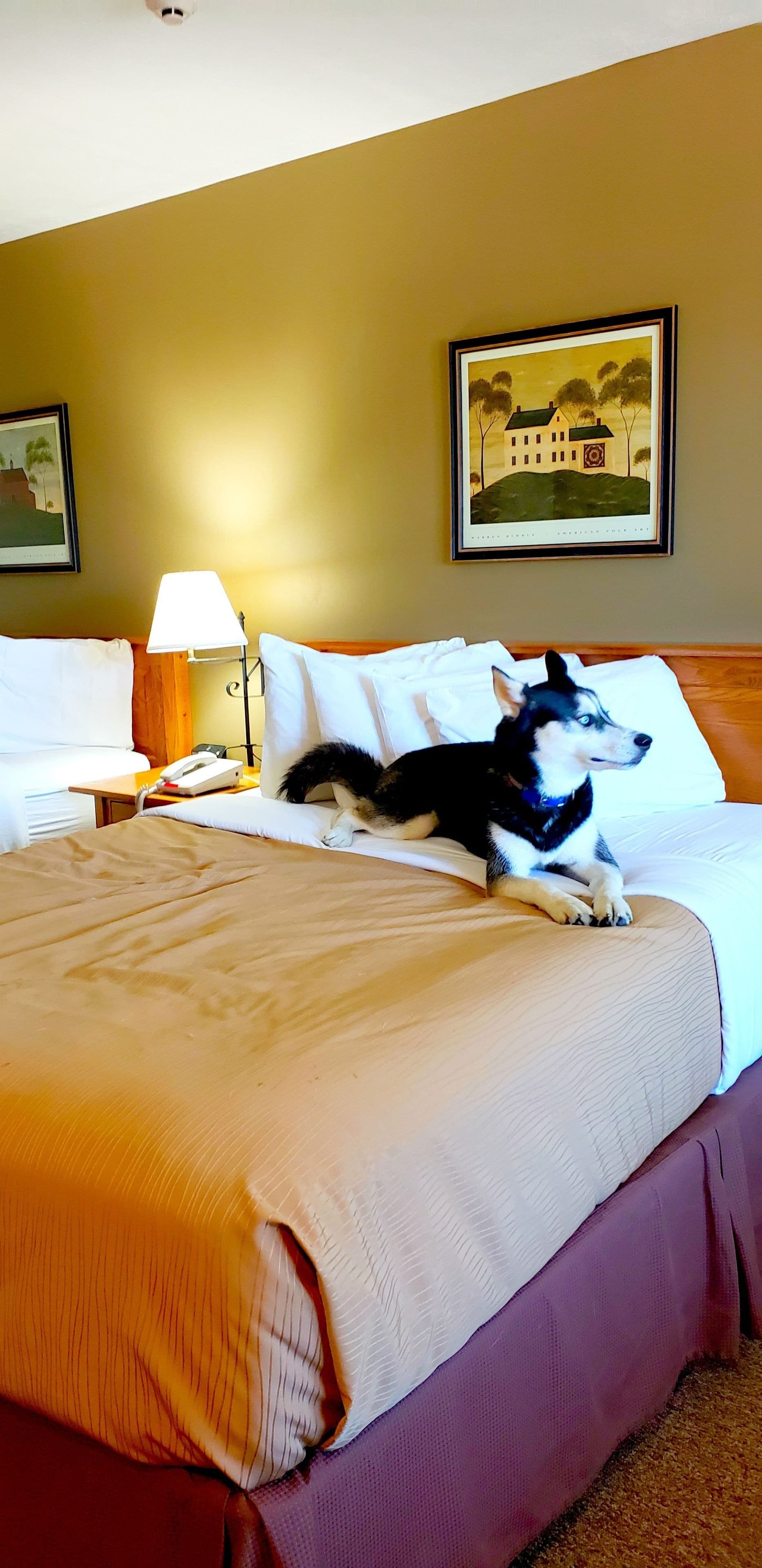 Una habitación de hotel con una cama, una lámpara y un cuadro en la pared.