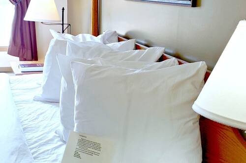 Premium Room, 1 King Bed, Accessible, Ground Floor | Desk, laptop workspace, blackout drapes, iron/ironing board