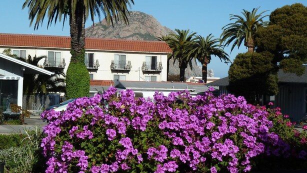 Ein Gebäude mit Balkonen, ein Berg im Hintergrund und lila Blumen im Vordergrund.