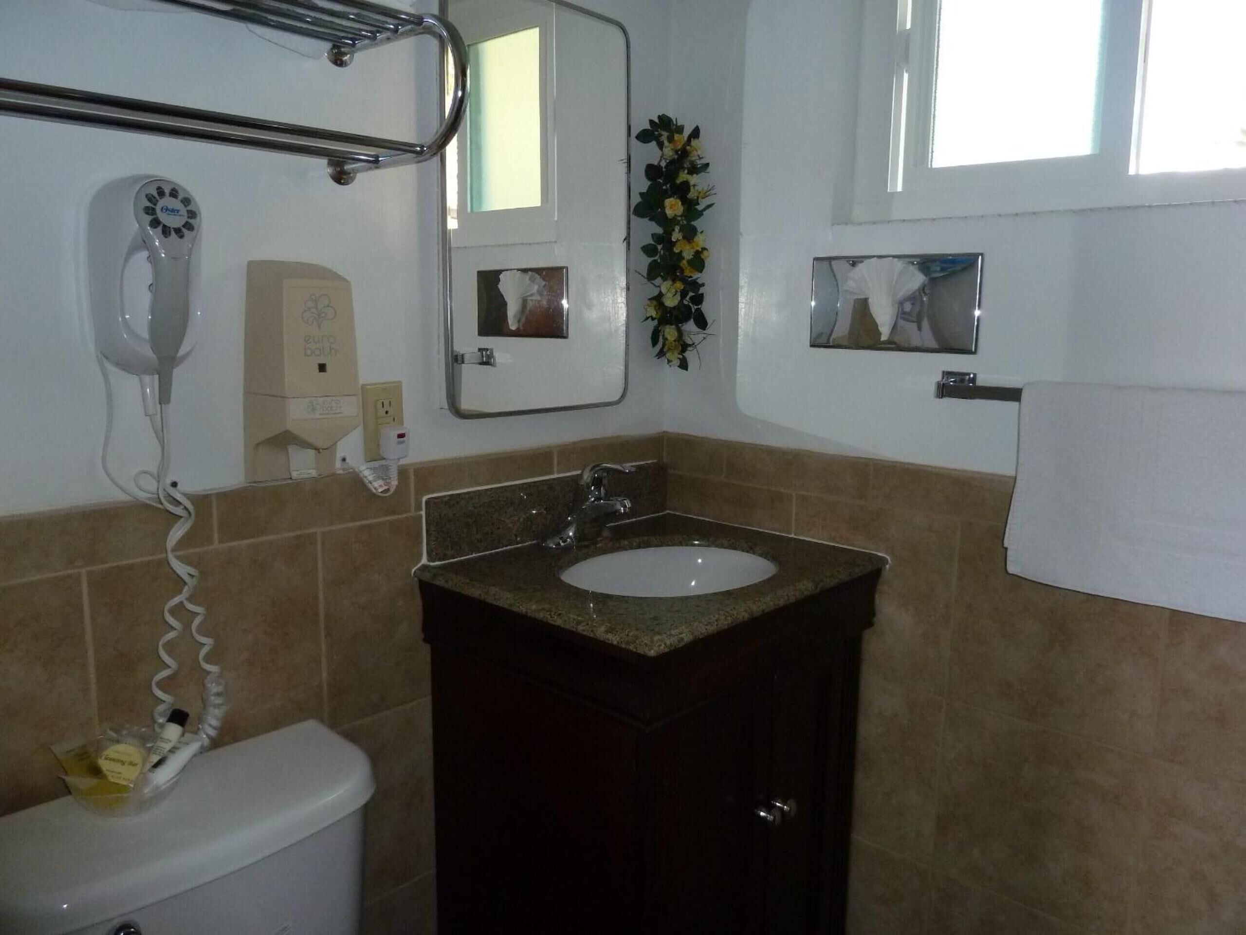 A bathroom with a toilet, a sink, a hairdryer, a mirror, and a window.