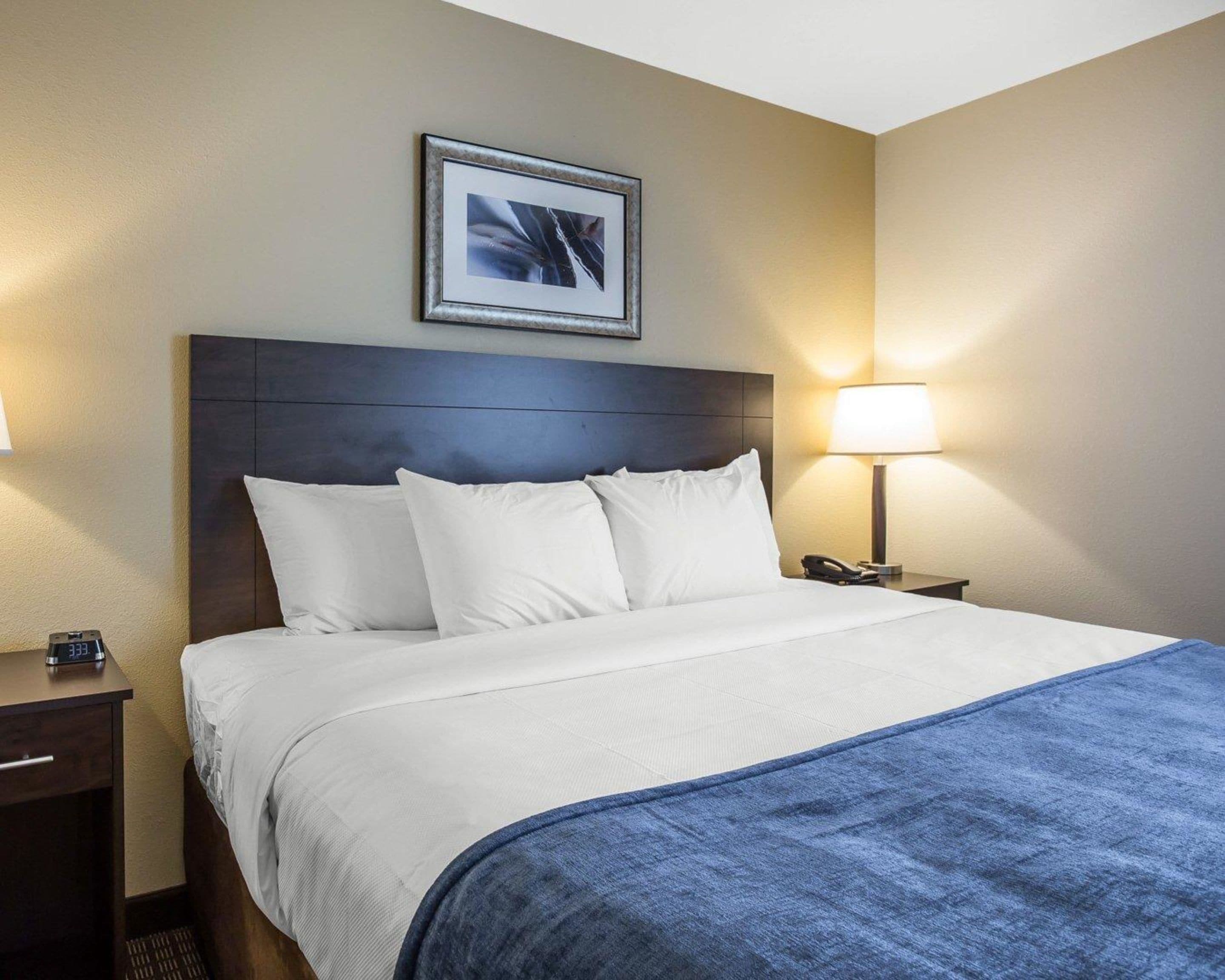 Habitación de hotel con una cama, una mesita de noche, una lámpara y un cuadro en la pared.