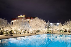 Outdoor pool - Garden Hotel Prishtina (Pristina)