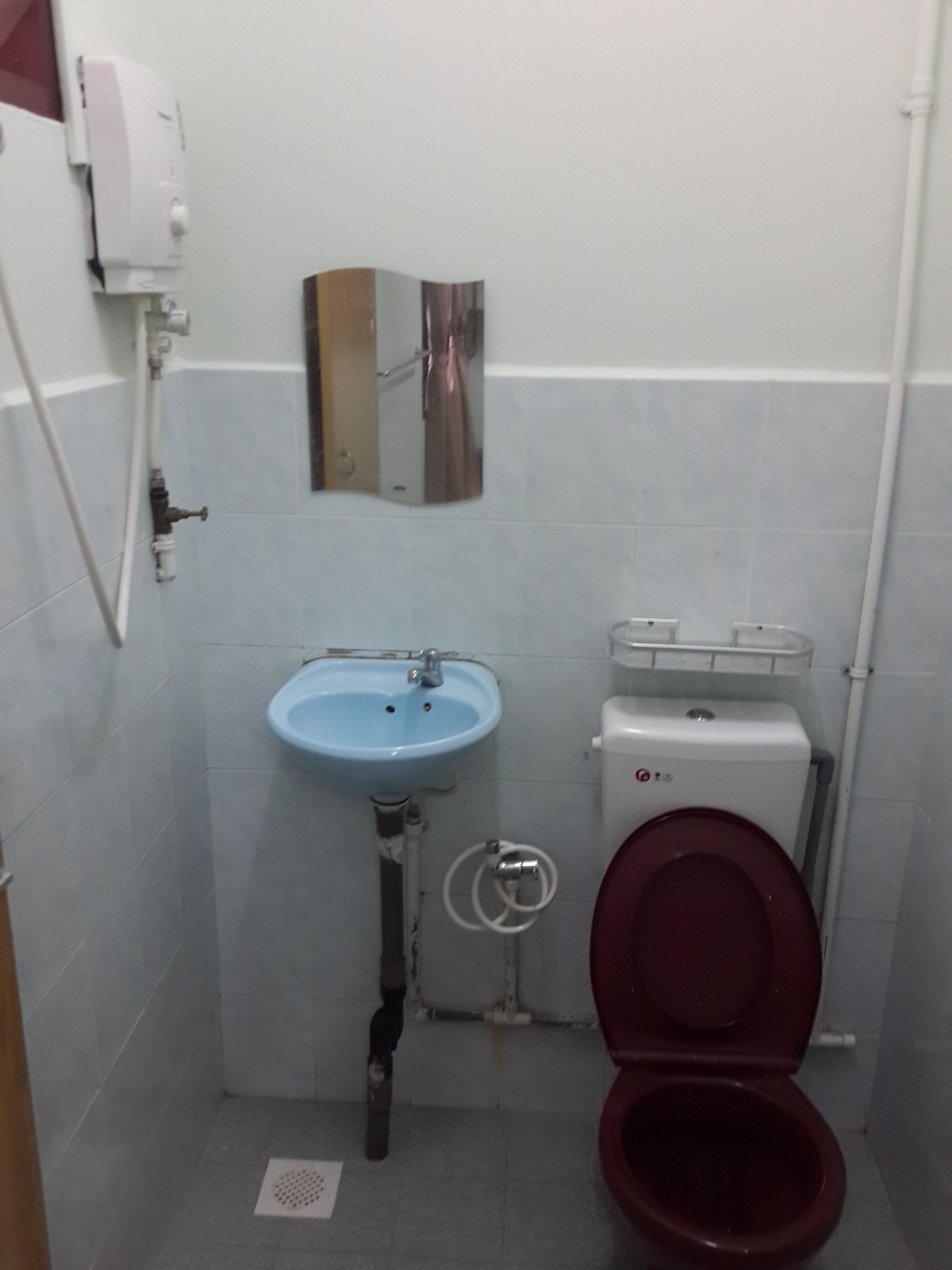 A small bathroom with a blue sink, a toilet, and a mirror.