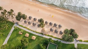 An aerial view of a beach with rows of palm trees, beach umbrellas, and lounge chairs.