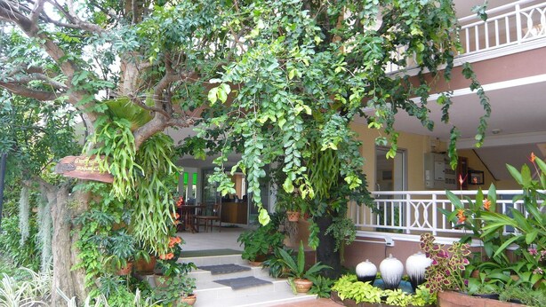 A covered outdoor area with a staircase leading to a building entrance, surrounded by various potted plants and a large tree. - U.D.Home Apartment (Ban Chang)