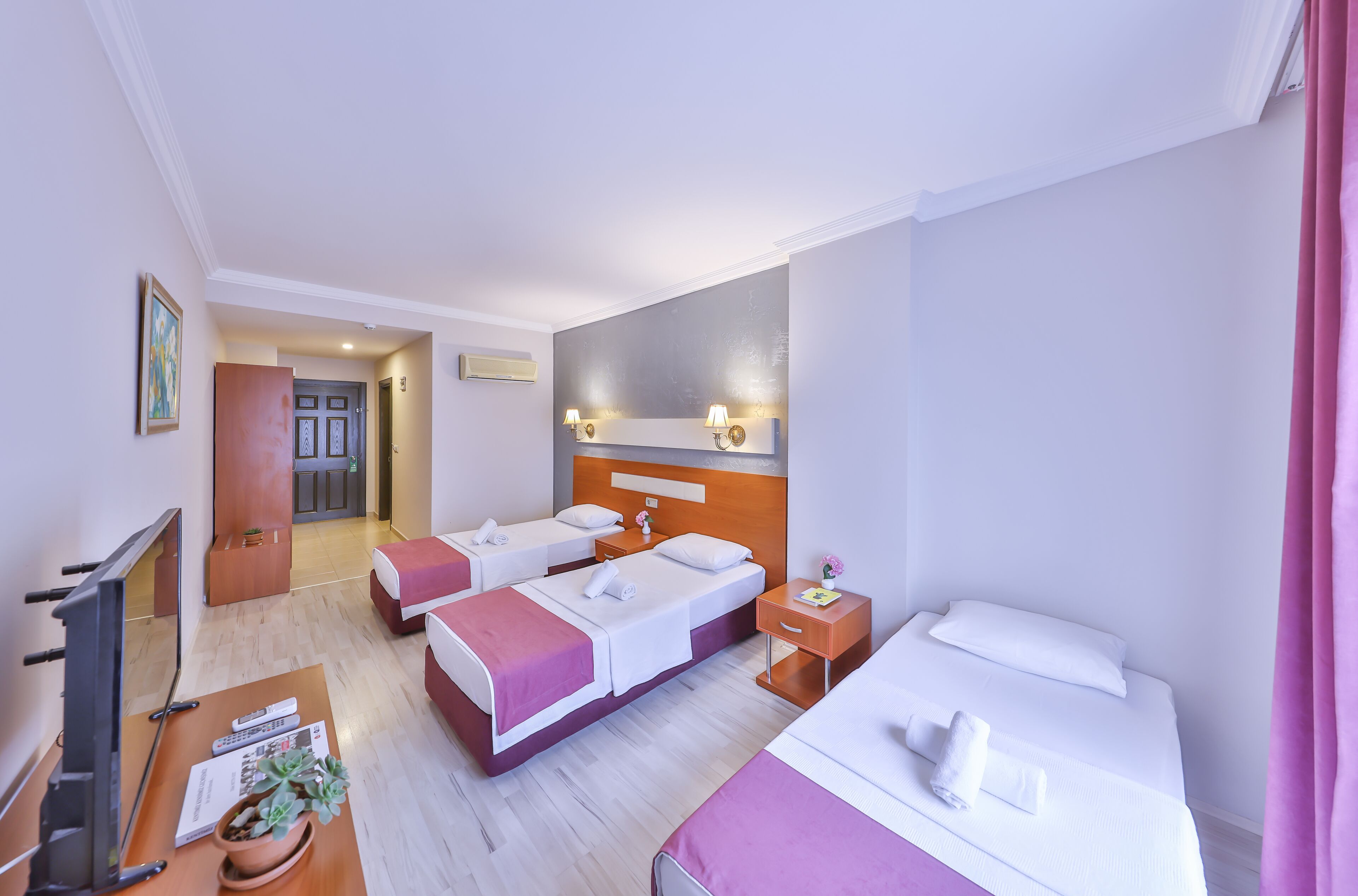 Habitación de hotel con tres camas, un televisor, un escritorio con una planta y la puerta del baño.