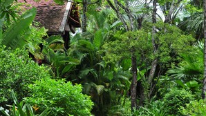 A lush garden with a variety of tropical plants and a pathway leading to a building with a tiled roof. - Maison Polanka (Siem Reap)
