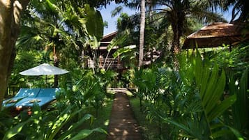 Vista al jardín