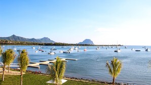 Un puerto deportivo con numerosos barcos, palmeras y montañas al fondo.