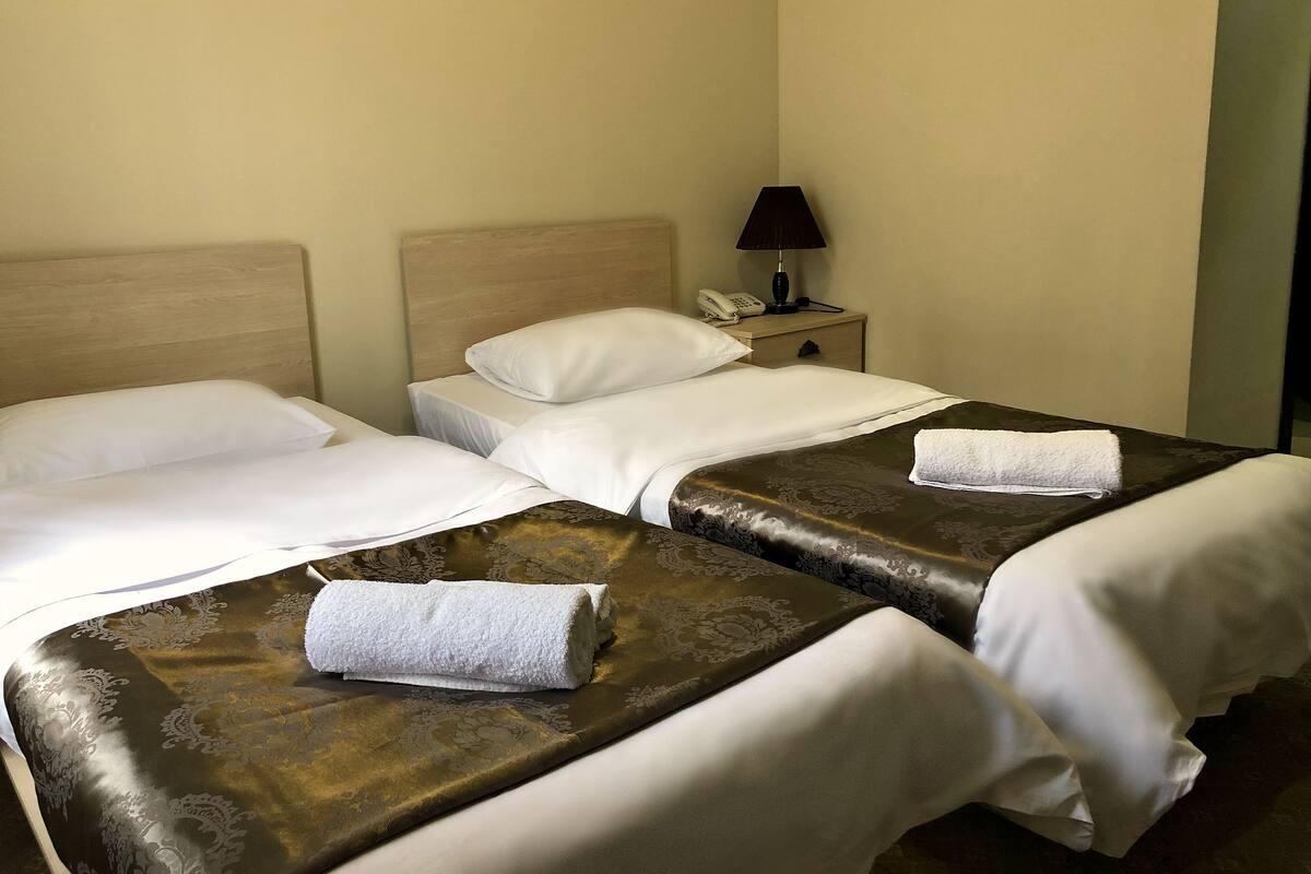 Habitación de hotel con dos camas, cada una con sábanas blancas y una colcha marrón estampada. Hay una mesita de noche con una lámpara y un teléfono.