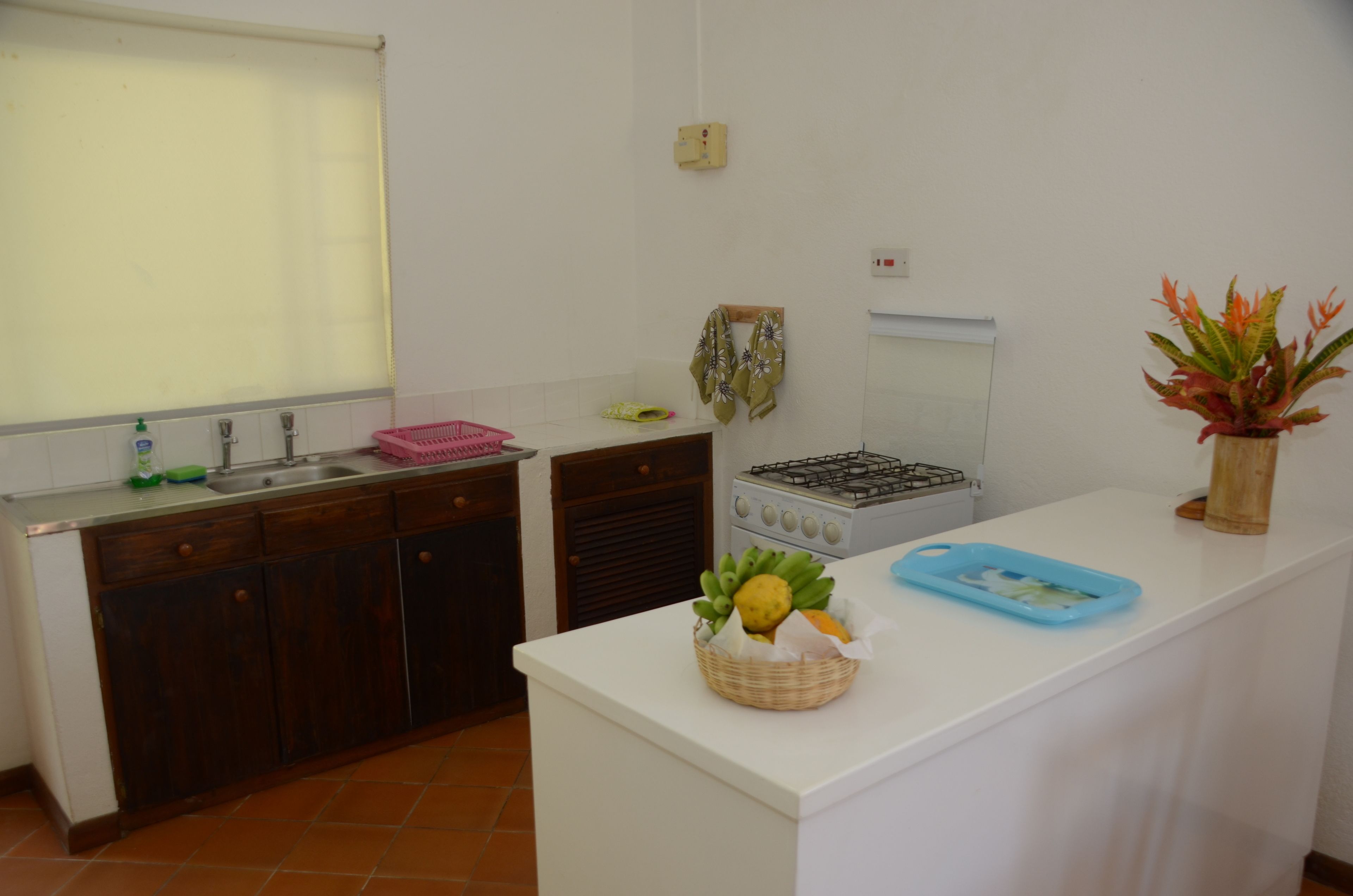 Una cocina compacta con estufa a gas, lavamanos y encimera.