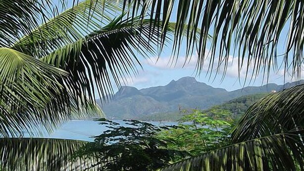 A tropical landscape with palm trees and a mountain in the background. - La Residence (Mahé Island)