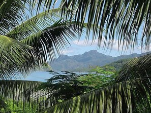 Un paisaje tropical con palmeras y una montaña al fondo.