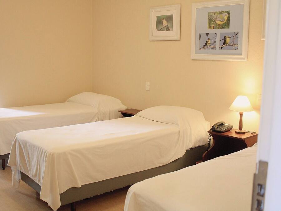 Standard Single Room, 3 Single Beds