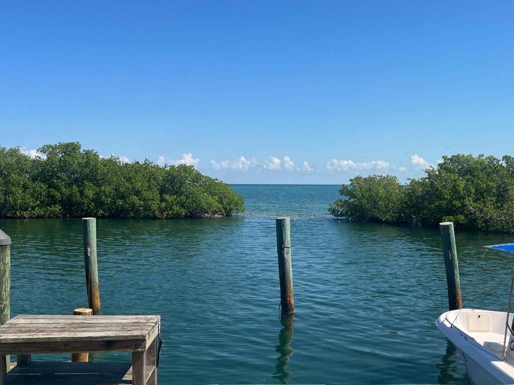 A wooden dock extending into calm water with dense mangrove foliage on both sides.