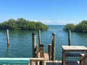 A wooden dock with a table and chairs, surrounded by calm water and mangrove trees.