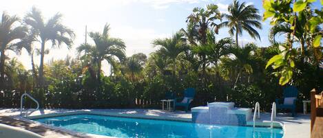 A swimming pool with a wooden deck, surrounded by palm trees and lounge chairs.