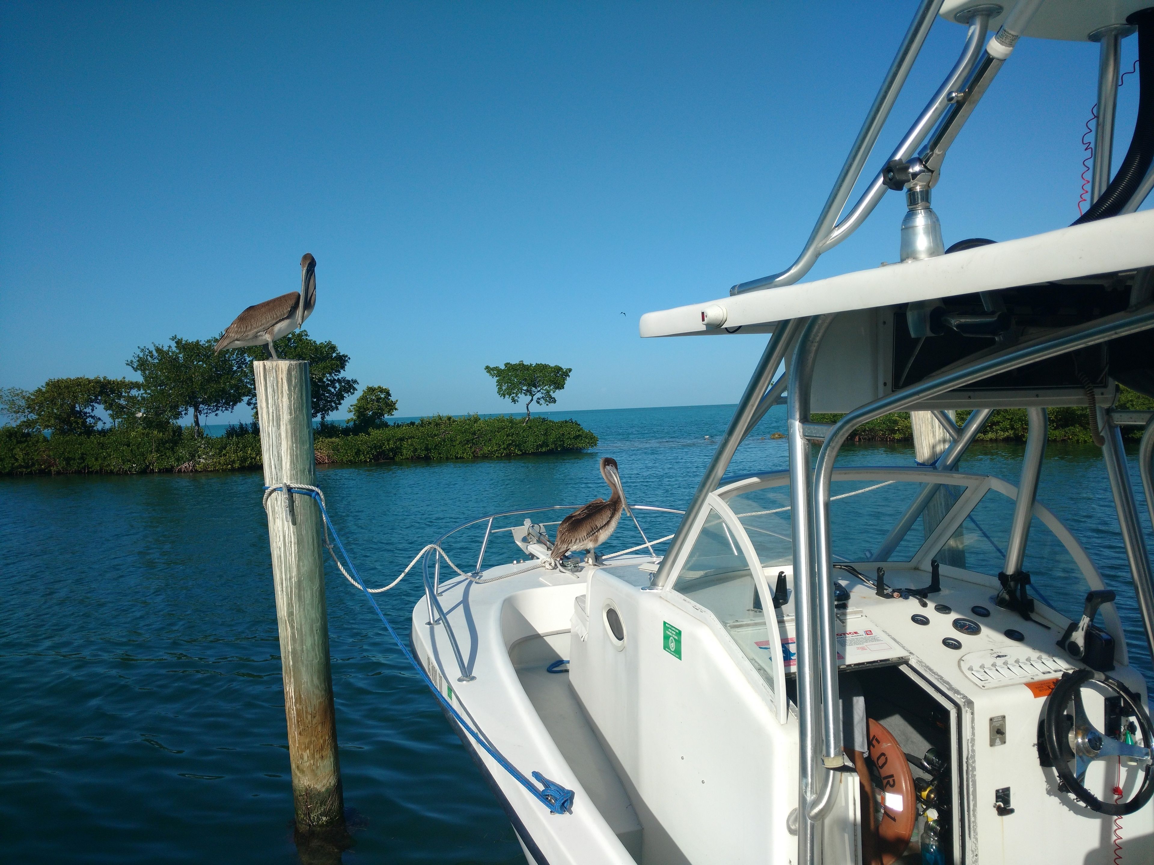 Dock