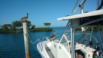 Dock