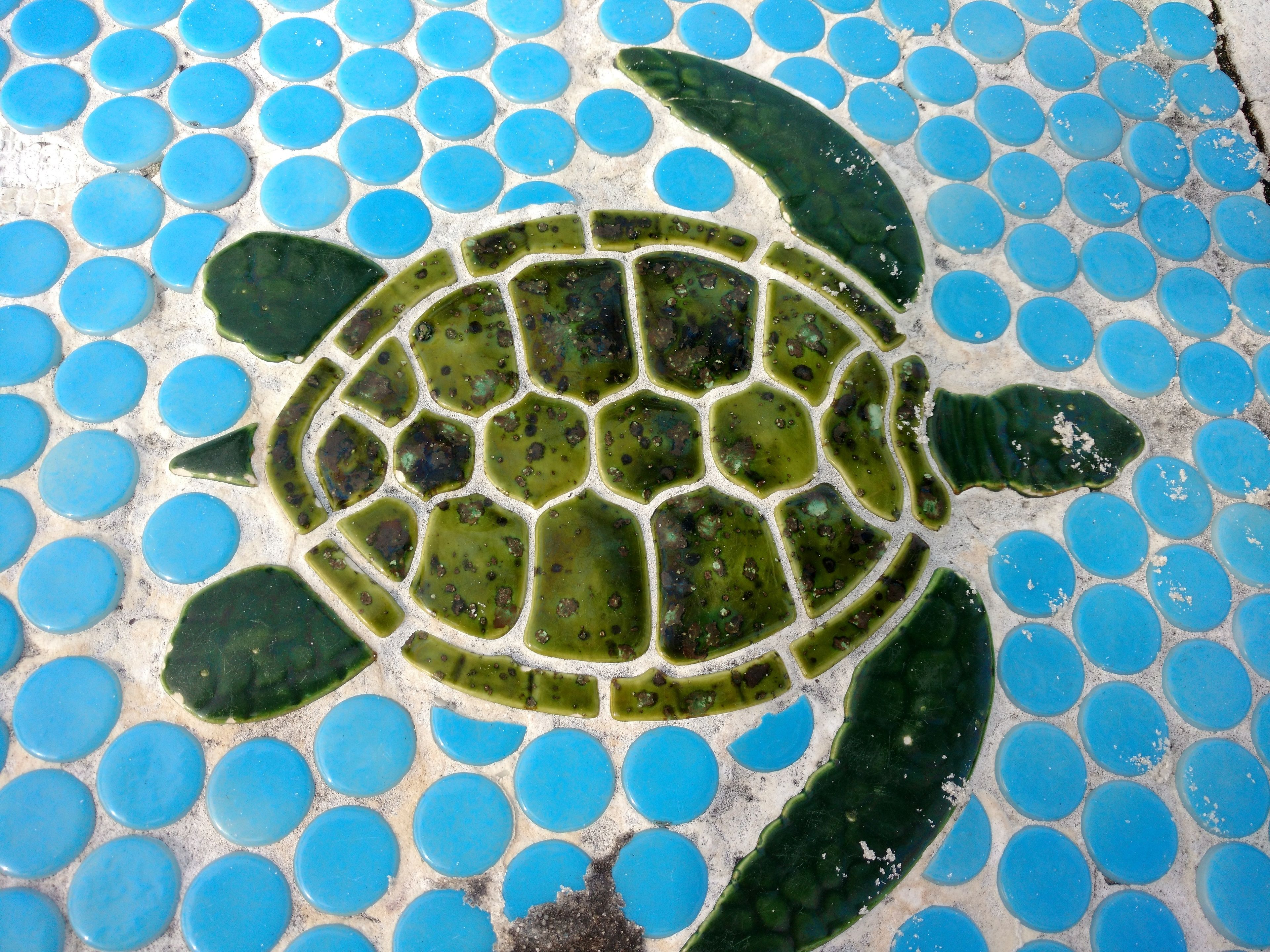 A mosaic of blue and green tiles forming a turtle design.