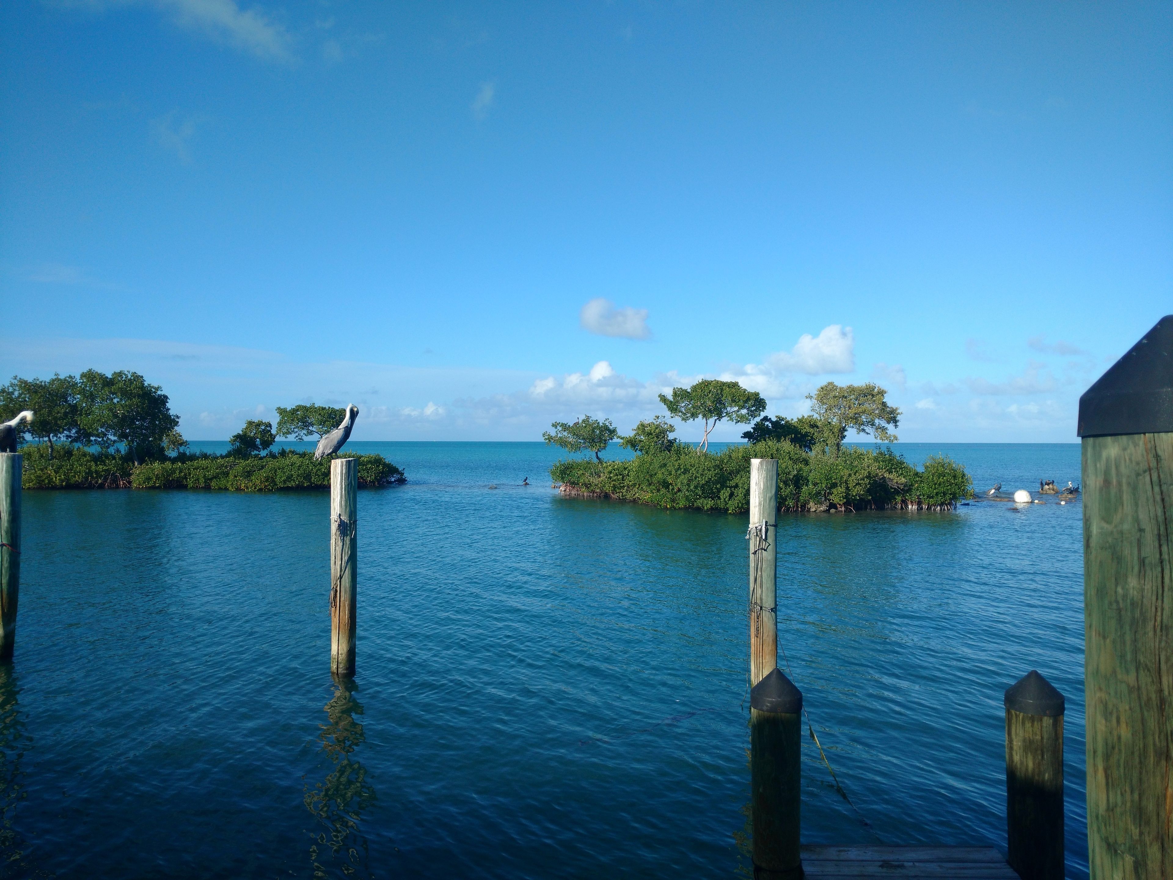 A wooden pier extending into calm waters with a clear sky above.