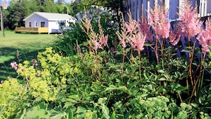 花園