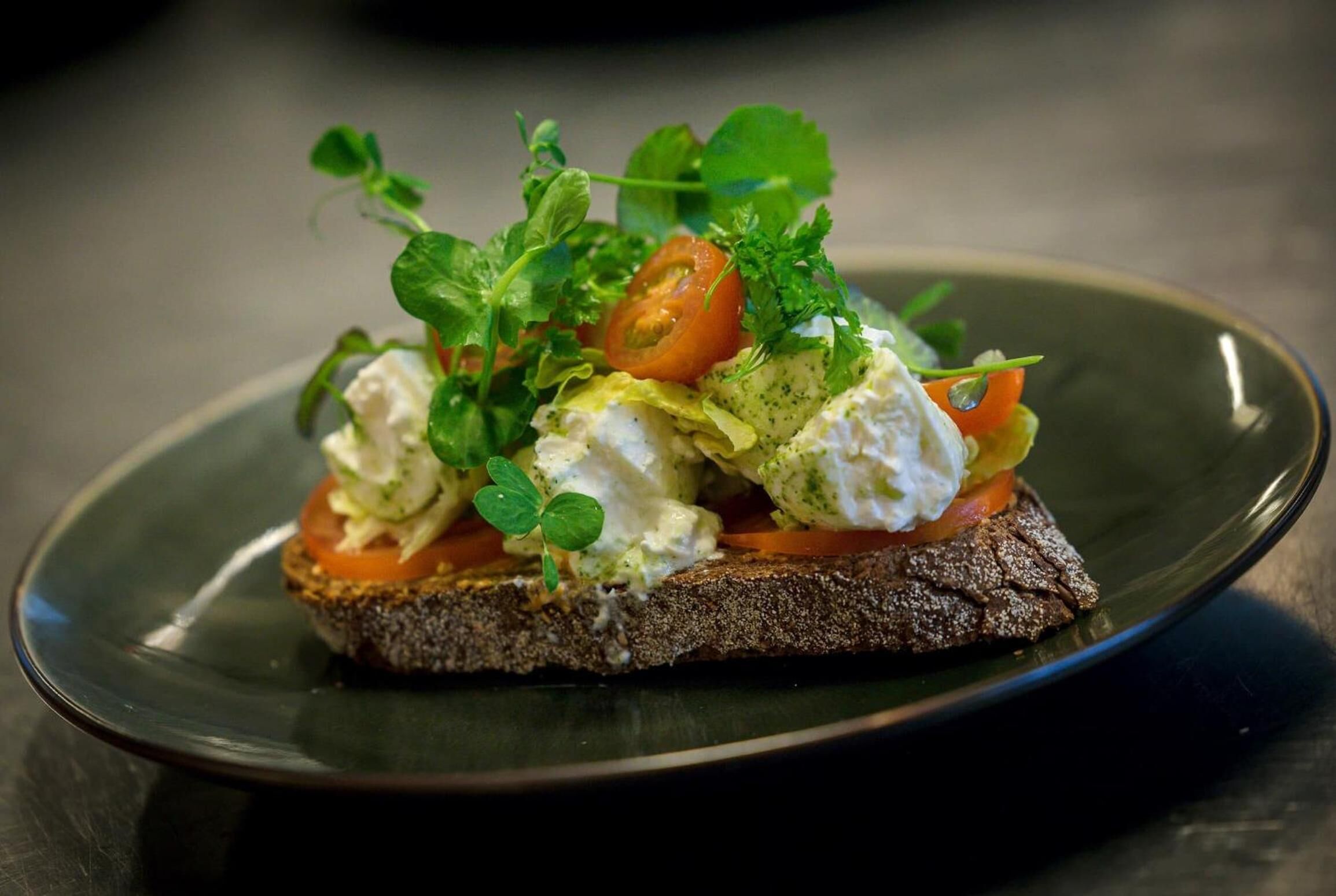 En mørkegrøn tallerken med en sandwich, grønt, tomater og cremet smørepålæg.