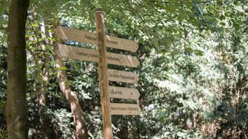 Un cartel de madera con flechas que señalan distintas direcciones, en un área boscosa.